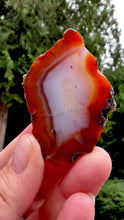Load and play video in Gallery viewer, “Glowing Flame of the Atlas” – Fiery Red Orange Carnelian Agate from Morocco • Polished
