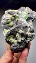Load and play video in Gallery viewer, High-Grade Green Wavellite Collectors Specimen - Radiating Botryoidal Crystal Formation - Arkansas, USA

