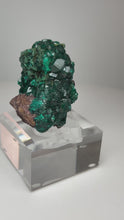 Load and play video in Gallery viewer, Dioptase Cluster from Congo • High Grade • Mineral Collector’s Specimen Showpiece
