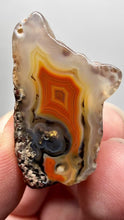 Load and play video in Gallery viewer, Polished Malawi Agate Half – High-Grade African Banded Agate Display Specimen
