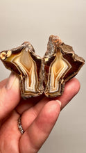 Load and play video in Gallery viewer, High-Grade Indonesian Sumatra Agate Pair – Vibrant Banded Chalcedony with Rich Color Zoning | Ethical Lapidary &amp; Collector Display Specimens
