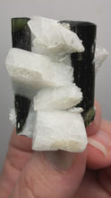 Load and play video in Gallery viewer, Blue and Green Cap Stak Nala Tourmaline w Double Terminated Quartz on Cleavelandite Matrix – Haramosh Mountains, Pakistan
