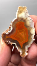 Load and play video in Gallery viewer, Polished Malawi Agate Half – High-Grade African Banded Agate Display Specimen
