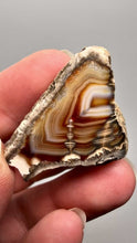 Load and play video in Gallery viewer, High-Grade Indonesian Sumatra Agate Pair – Vibrant Banded Chalcedony with Rich Color Zoning | Ethical Lapidary &amp; Collector Display Specimens
