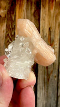 Load and play video in Gallery viewer, Clear Gem Apophyllite Encrusted Stalactite + Pink Stilbite Cluster • Maharashtra, India
