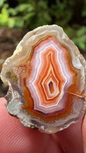 Load and play video in Gallery viewer, High-Grade Parallax Banded Laguna Agate – Bright Orange, Red, &amp; White Banding from Mexico
