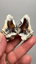 Load and play video in Gallery viewer, High-Grade Indonesian Sumatra Agate Pair – Vibrant Banded Chalcedony with Rich Color Zoning | Ethical Lapidary &amp; Collector Display Specimens
