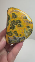 Load and play video in Gallery viewer, Bumblebee Jasper Agate Free Form • from West Java, Indonesia • AAA High Grade
