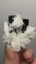 Load and play video in Gallery viewer, Blue Cap on Dark Green Stak Nala Tourmaline on Cleavelandite on Matrix – Haramosh Mountains, Pakistan
