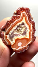 Load and play video in Gallery viewer, Lot of 4 Small Malawi Agate Halves – Polished Rare Colorful Collector Specimens
