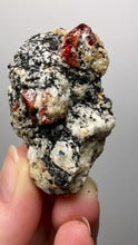 Load and play video in Gallery viewer, Naturally Faceted Zircon Crystal on Pegmatite–Biotite Matrix • Pakistan Mineral Specimen
