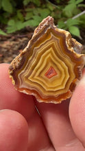 Load and play video in Gallery viewer, Small High-Grade Laguna Agate with Parallax Effect &amp; Quartz Core – Rare Mexican Collectible Gemstone
