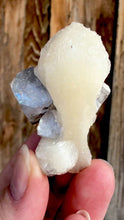 Load and play video in Gallery viewer, Clear Gem Apophyllite on Cream Stilbite • Maharashtra, India
