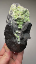 Load and play video in Gallery viewer, High-Grade Green Wavellite Collectors Specimen - Radiating Botryoidal Crystal Formation - Arkansas, USA
