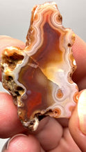 Load and play video in Gallery viewer, Lot of 9 Small Malawi Agate Halves – Polished Rare Colorful Collector Specimens
