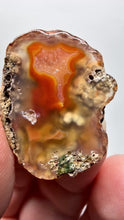 Load and play video in Gallery viewer, Polished Malawi Agate Half – High-Grade African Banded Agate Display Specimen
