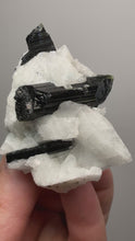 Load and play video in Gallery viewer, Dark Green Cap Stak Nala Tourmaline with Cleavelandite Matrix – Haramosh Mountains, Pakistan
