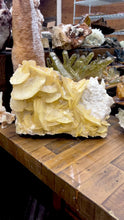 Load and play video in Gallery viewer, Golden Petal Calcite on Flower Quartz (AKA Potato Calcite) • China
