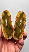 Load and play video in Gallery viewer, High-Grade Indonesian Sumatra Agate Pair – Vibrant Banded Chalcedony with Rich Color Zoning | Ethical Lapidary &amp; Collector Display Specimens
