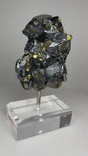 Load and play video in Gallery viewer, Cubic Galena, Sphalerite-Marmatite &amp; Octahedral Golden Chalcopyrite from Bulgaria • Rare High Grade • Mineral Collector’s Specimen Showpiece
