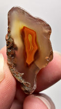 Load and play video in Gallery viewer, Polished Malawi Agate Half – High-Grade African Banded Agate Display Specimen
