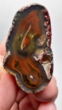 Load and play video in Gallery viewer, Polished Malawi Agate Half – High-Grade African Banded Agate Display Specimen
