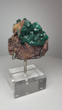 Load and play video in Gallery viewer, Dioptase Cluster from Congo • High Grade • Mineral Collector’s Specimen Showpiece
