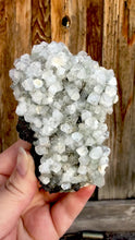 Load and play video in Gallery viewer, Clear Gem Apophyllite Cluster • Maharashtra, India
