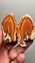 Load and play video in Gallery viewer, High-Grade Indonesian Sumatra Agate Pair – Vibrant Banded Chalcedony with Rich Color Zoning | Ethical Lapidary &amp; Collector Display Specimens
