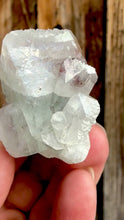 Load and play video in Gallery viewer, Mint Green Apophyllite w Red Phantom • Maharashtra, India
