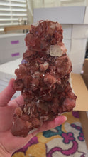 Load and play video in Gallery viewer, Red Druzy Phantom Apophyllite w Stilbite VERY RARE • Maharashtra, India
