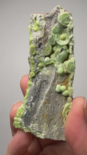 Load and play video in Gallery viewer, High-Grade Green Wavellite Collectors Specimen - Radiating Botryoidal Crystal Formation - Arkansas, USA
