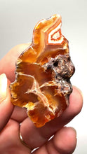 Load and play video in Gallery viewer, Polished Malawi Agate Half – High-Grade African Banded Agate Display Specimen
