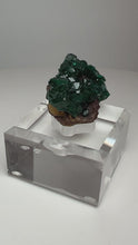 Load and play video in Gallery viewer, Dioptase Cluster from Congo • High Grade • Mineral Collector’s Specimen Showpiece
