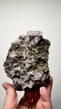 Load and play video in Gallery viewer, High-Grade Vera Cruz Amethyst — Ultra-Clear Terminated Crystal Collector Specimen | Veracruz, Mexico
