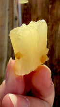 Load and play video in Gallery viewer, Golden Yellow Stilbite + Golden Calcite • Maharashtra, India
