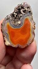 Load and play video in Gallery viewer, Polished Malawi Agate Half – High-Grade African Banded Agate Display Specimen
