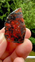 Load and play video in Gallery viewer, Moroccan Black and Red Agate Collected by Indigenous Nomads | Ancient Beauty from the Sahara
