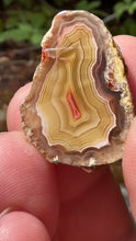 Load and play video in Gallery viewer, High-Grade Parallax Banded Laguna Agate – Bright Red &amp; Yellow Crystal from Mexico
