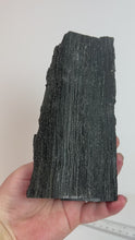 Load and play video in Gallery viewer, Black Druzy Petrified Wood from Indonesia
