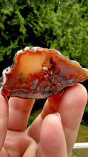Load and play video in Gallery viewer, “Fiery Frozen Lake of the Atlas” – Scenic Plume Carnelian Agate from Morocco” • Polished
