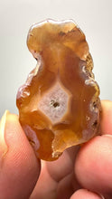 Load and play video in Gallery viewer, Polished Malawi Agate Half – High-Grade African Banded Agate Display Specimen
