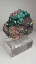 Load and play video in Gallery viewer, Dioptase Cluster from Congo • High Grade • Mineral Collector’s Specimen Showpiece
