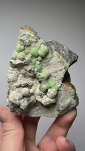 Load and play video in Gallery viewer, High-Grade Green Wavellite Collectors Specimen - Radiating Botryoidal Crystal Formation - Arkansas, USA
