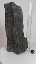 Load and play video in Gallery viewer, Black Druzy Petrified Wood from Indonesia
