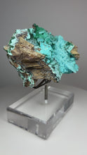 Load and play video in Gallery viewer, Chrysocolla Druzy Botryoidal Stalactites Pseudomorph after Malachite on Matrix from Congo • Fine Mineral Collector’s Showpiece
