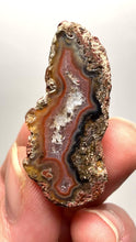 Load and play video in Gallery viewer, Polished Malawi Agate Half – High-Grade African Banded Agate Display Specimen
