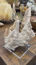 Load and play video in Gallery viewer, Druzy Cave Stalactite Cluster • China
