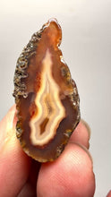 Load and play video in Gallery viewer, Lot of 4 Small Malawi Agate Halves – Polished Rare Colorful Collector Specimens
