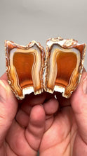 Load and play video in Gallery viewer, High-Grade Indonesian Sumatra Agate Pair – Vibrant Banded Chalcedony with Rich Color Zoning | Ethical Lapidary &amp; Collector Display Specimens
